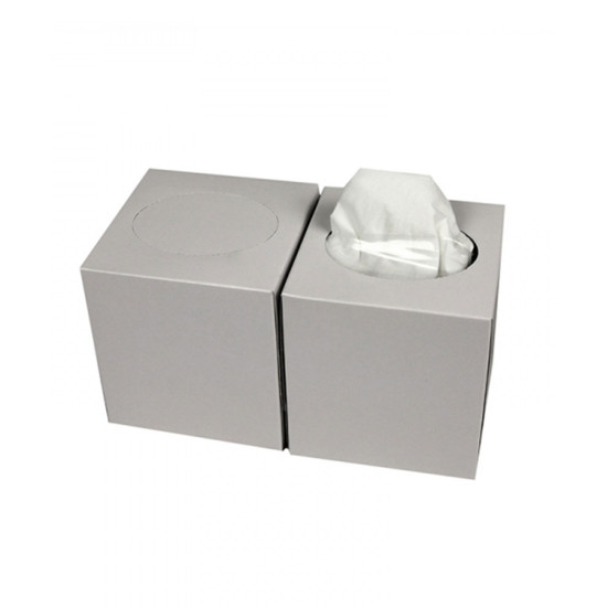 Facial Tissues Cube 100% Cellulose 21 x 20 cm 2 laags 90 tissues